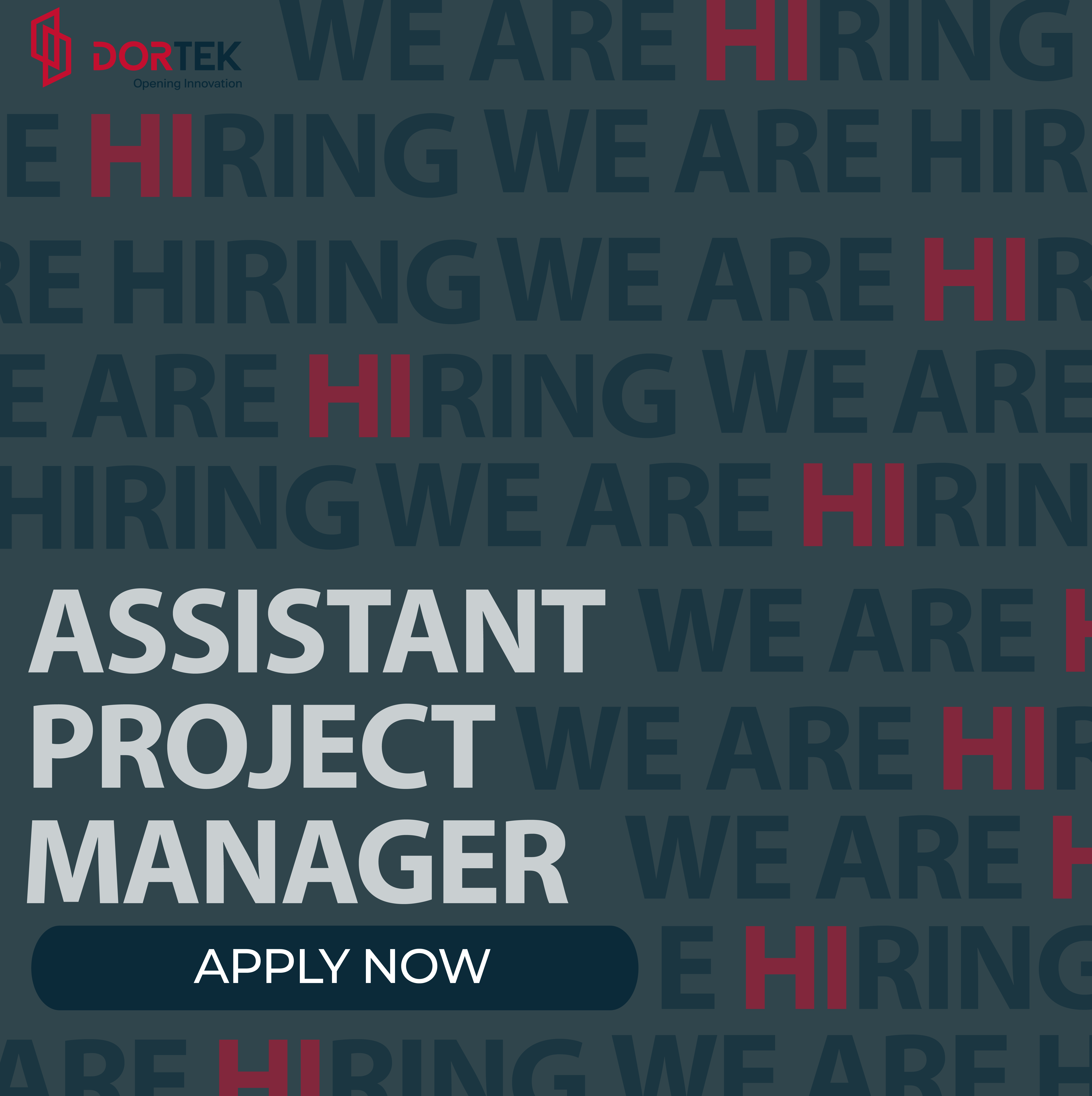 Assistant Project Manager – US